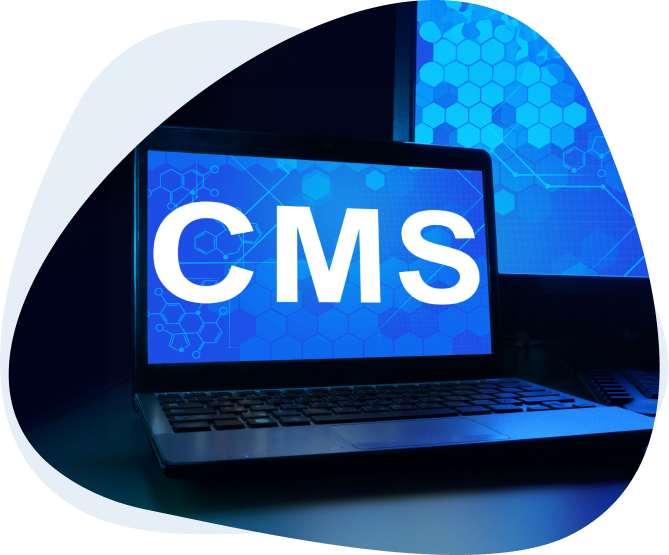 Cms Web Application Development - QuellSoft